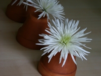 Camilla Fabbri Upside Down Flower Pot Vase
